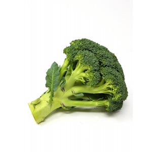 Broccoli EU (STK)